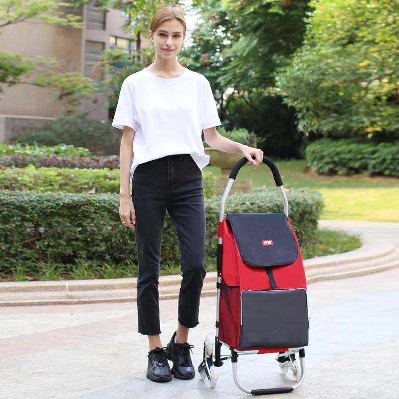 2-in-1 Portable Foldable Utility Grocery Shopping Trolley Cart with Wheels Removable Bag Collapsible Hand Truck for Supermarket