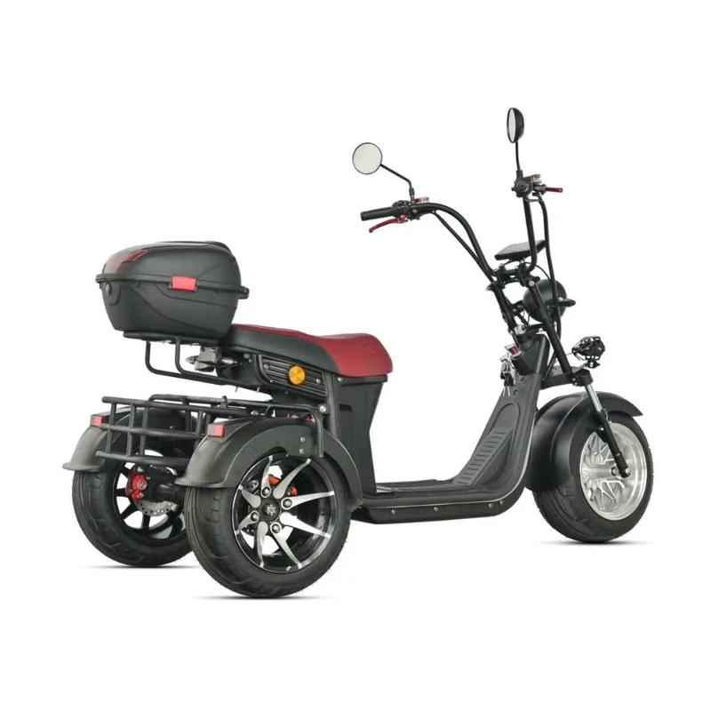 3 Wheel Electric Scooter GPS Foldable Waterproof Lithium Battery 2000W/3000W/4000W Citycoco