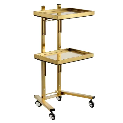 Acrylic Stainless Steel Foldable Salon Trolley Beauty Hair Cutting Tool Trolley for Hair Perming Dyeing Store Items Conveniently