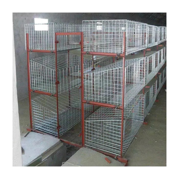 Automatic Broiler Chicken Coop with Poultry Equipment for Poultry Husbandry