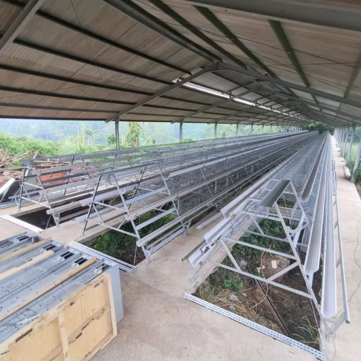 Automatic Poultry Farming Modern Shed System A Type Egg Chicken Layer Battery Cage