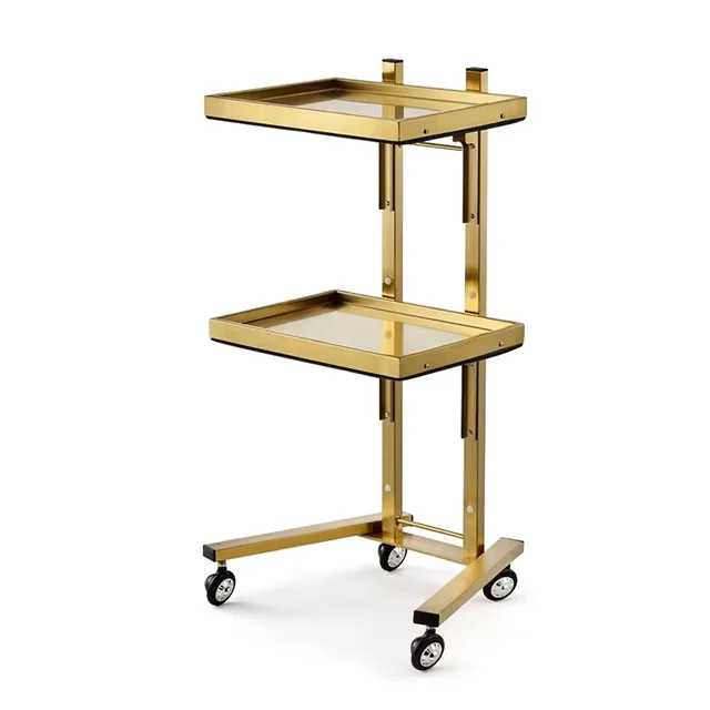 Barber Shop Stations Esthetician Trolley Beauty Salon Tool Cart