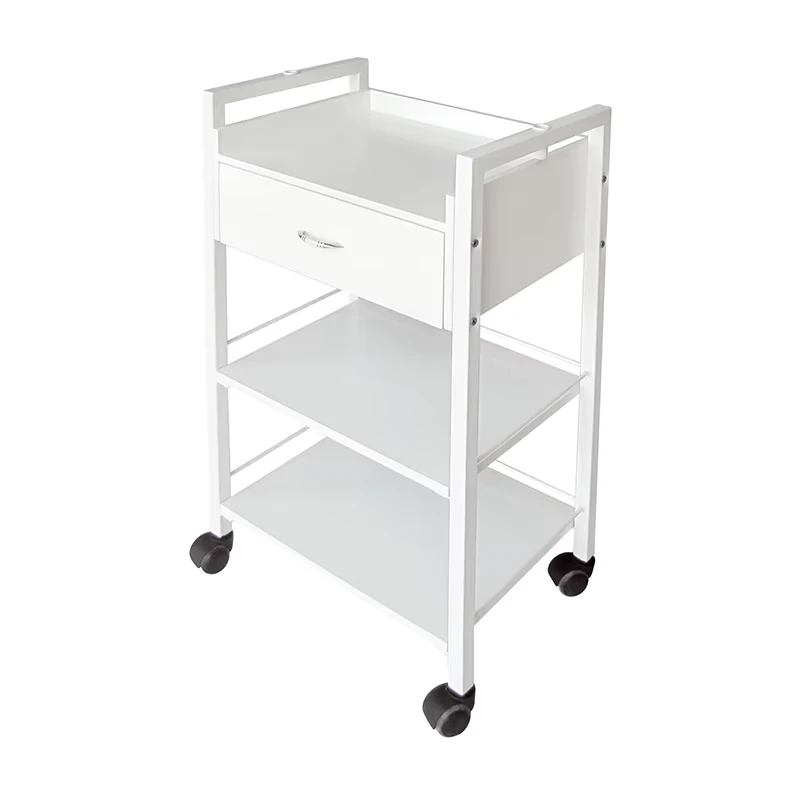 Beauty Salon Spa Facial Hand Trolley with 4 Wheel ABS Plastic Wood Drawer Modern Design for Home & Commercial Use TS 4205
