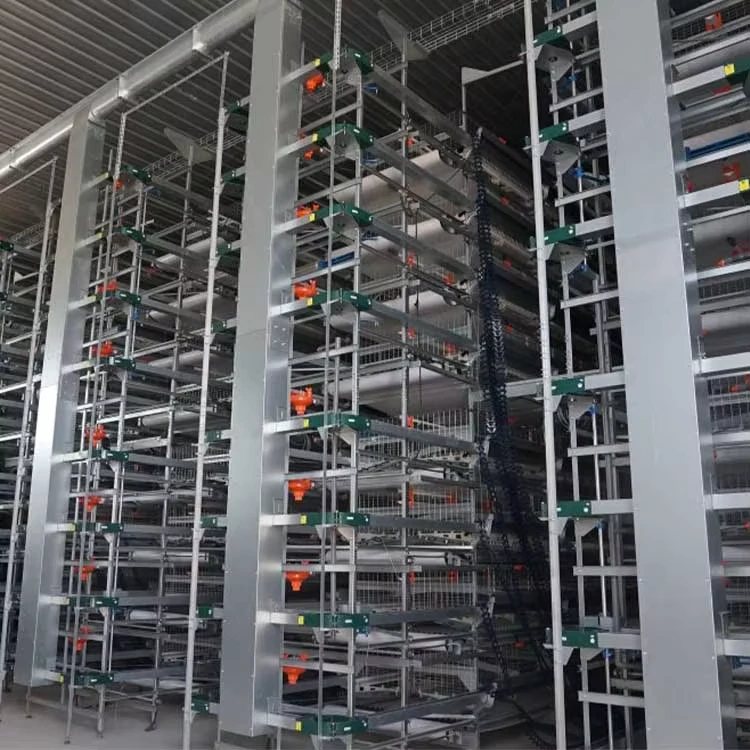 Chicken Layer Cage H Type Animal Cage Automatic Nipple Drinker Battery Cage Chicken Farms