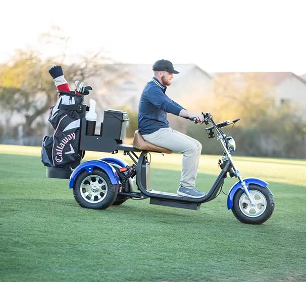 Citycoco 3 Wheel Electric Golf Scooter Foldable Waterproof GPS Lithium Battery 60-100km Range