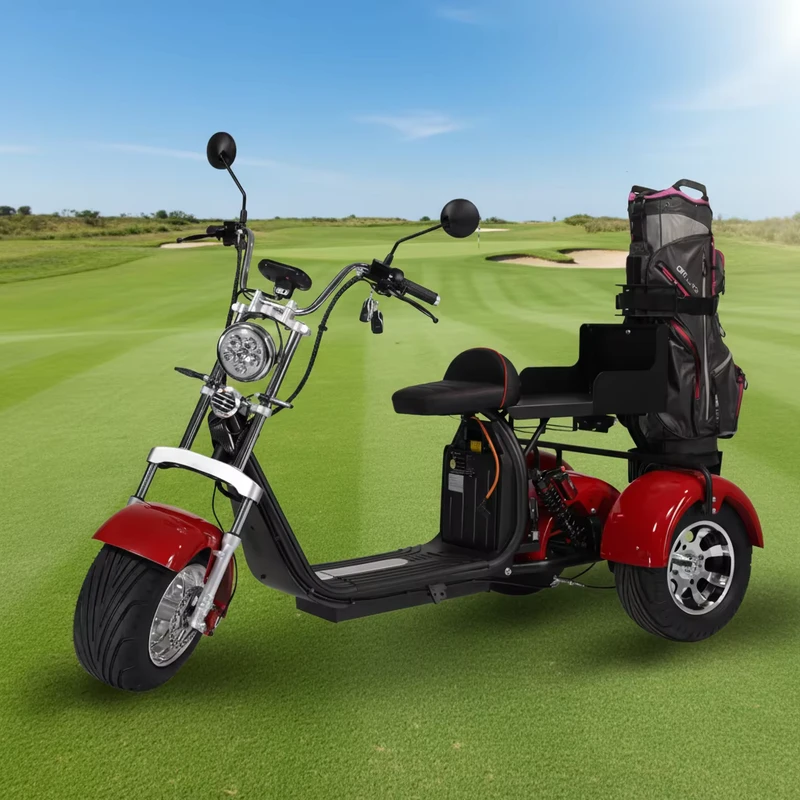 Citycoco Australia Market Golf Use Three Wheel Electric Scooter GPS Foldable Waterproof Lithium Battery