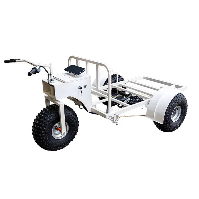 Custom Electric Ice Cream Platform Cart Display Tricycle Ice Cream Cart Electric Trolley Ice Cream Hand Cart