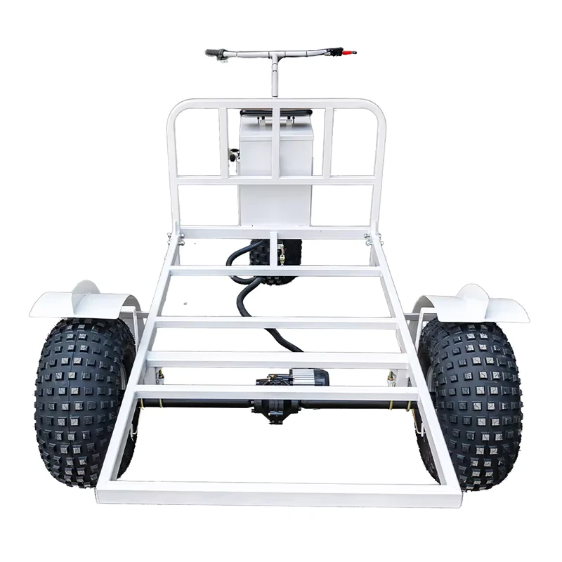 Custom Electric Trolleys Hand Cart Beach Snack Gourmet Movable Ice Cream Sale Electric Trolleys