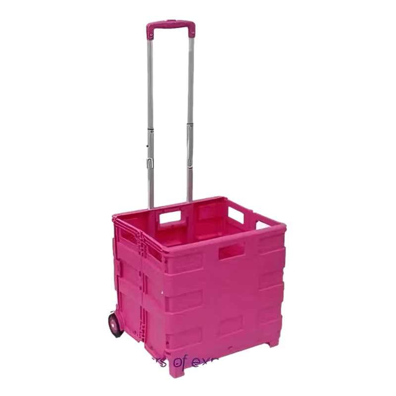 Custom Multiple Colors 2 Wheels Plastic Trolley Supermarket Collapsible Telescopic Rod Shopping Cart