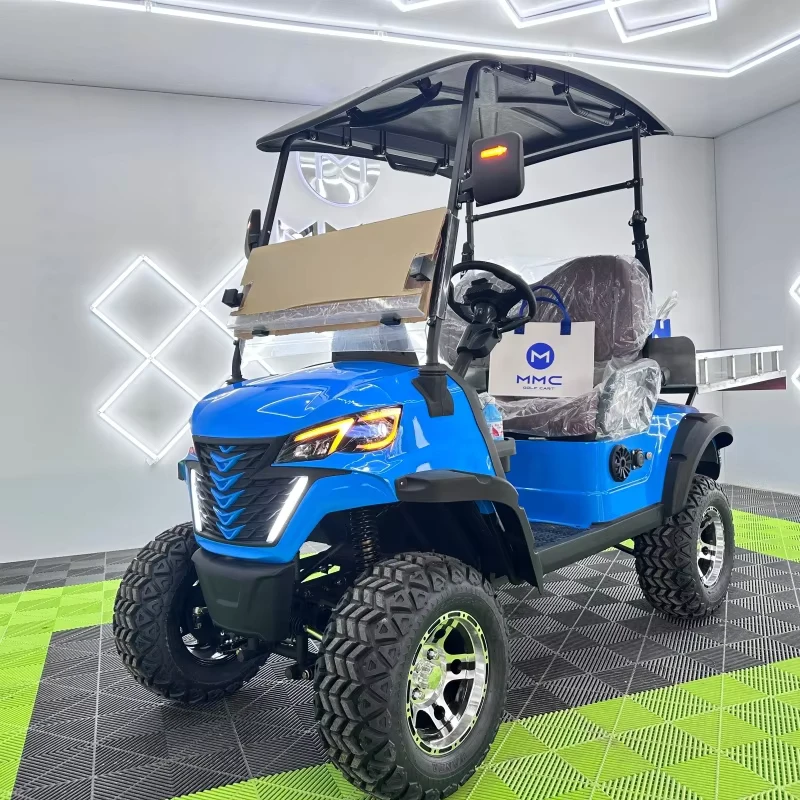Custom Utility 4WD Electric Golf Buggy 10KW Lithium Battery 2 Seater Golf Cart Cargo Box Dot CE Certified Steel MMC 25MPH