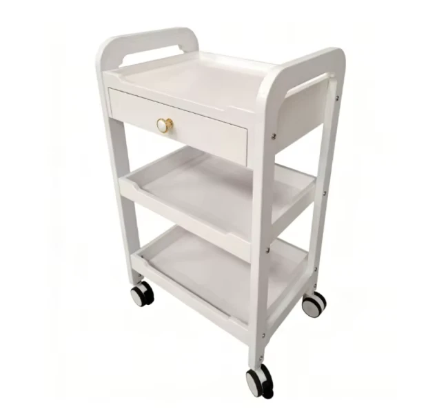 Custom-made High-quality Modern Stainless Steel Salon Trolley with 4 Wheels for Beauty Salons Hotels & Home Offices