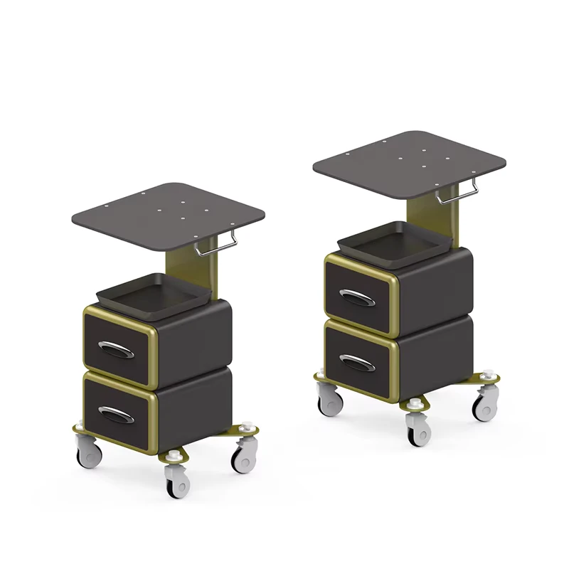 Customize Modern Stainless Steel Beauty Spa Salon Equipment Shell Hardware Ironware Metal Trolley Carts Two Drawers for Gym Use