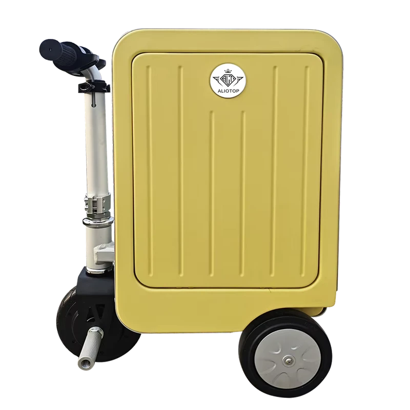 Customized Luxury Waterproof Carrying Fashionable Style Luggage Aluminum Trolley Case Travel Luggage for Airport