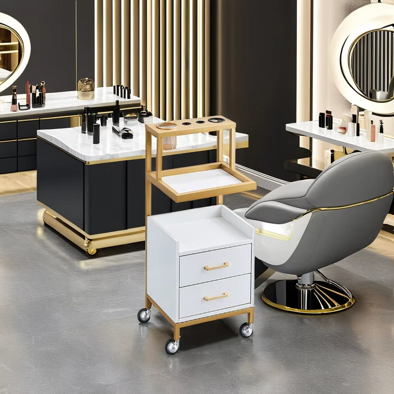 Direct Factory Sale Iron Beauty Tool Car Hair Salon Trolley for Home Office Bedroom & Apartment Use