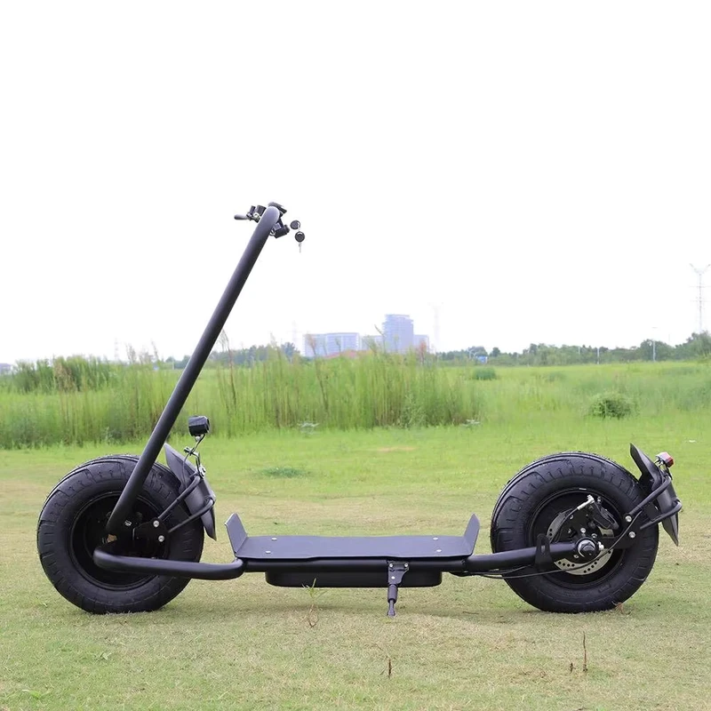 Electric Scooter 2000w 3000w Citycoco Electric Scooter with Fat Bike Tire