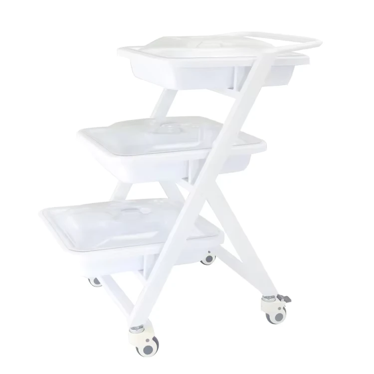 Endoscope Transport Trolley Dual Layer Medical Crash Cart for Gastroscopy Bronchoscopy Equipment