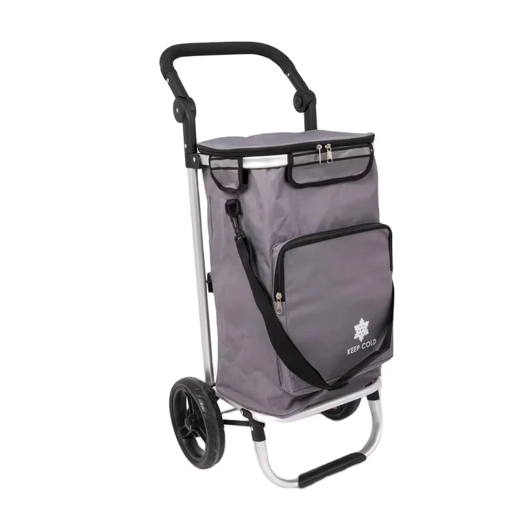 Factory Aluminium Alloy Foldable Shopping Cart Trolley 2 Wheels Shopping Mall Trolley