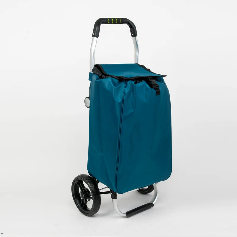 Foldable 2 Wheel Shopping Trolley Cart Bag with Waterproof Fabric Large Capacity