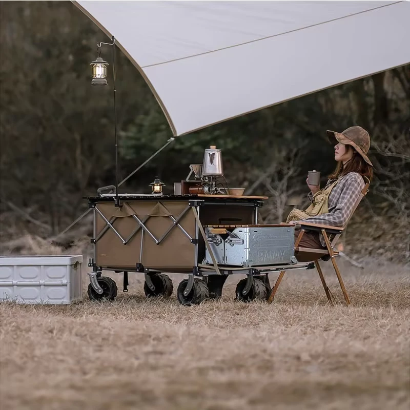 Foldable Camping Wagon Outdoor Cart with Reclining Seat for Kids Picnic Beach Camping