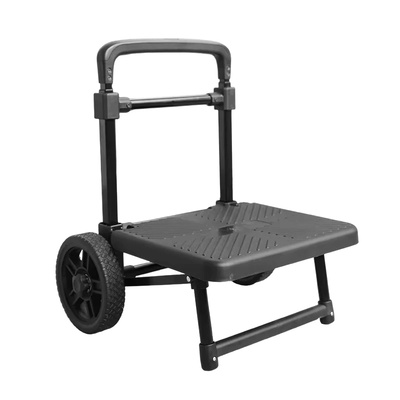 Folding Portable Platform Trolley Thickened Iron Pipe 250W Motor 10 20Ah Battery 30 50km/h Speed 100kg Load Capacity Outdoor Use