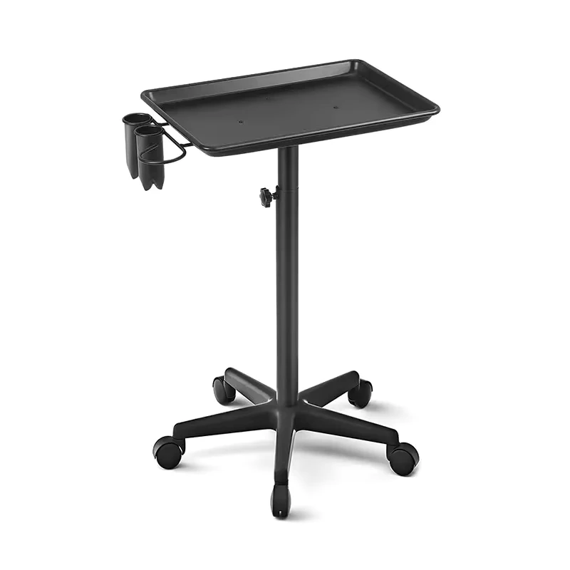 Hair Barber Salon Furniture Tattoo Beauty Trolley Cart Trays