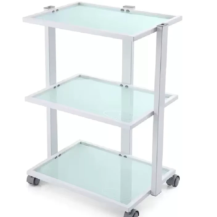 Hair Salon Beauty Salon Furniture Tool Car Hair Hand Carts Trolleys with Wheels Salon Holder Storage Rack