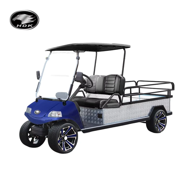 Heavy Duty Buggy Utility Vehicle Tourist Lifted Electric Golf Cart With Cargo Box UTV