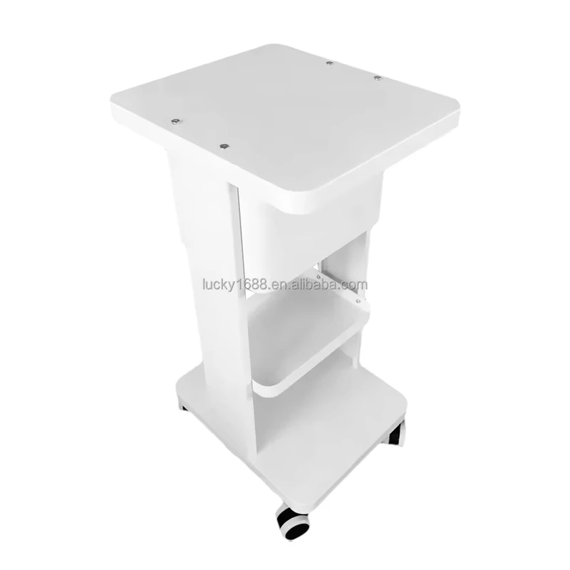 Heavy Duty Metal Salon Trolley Rolling Beauty Stand for Salon Equipment Personal Care Working Trolley