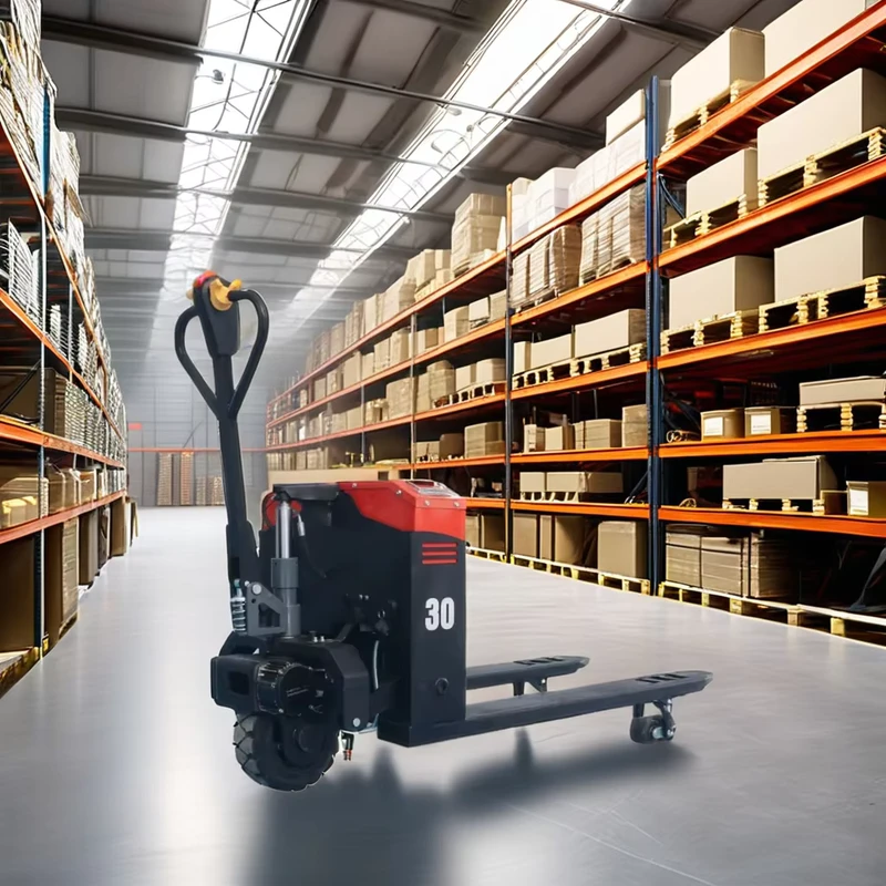 High Capacity Logistics Hand Pallet Truck for Material Handling with 2 and 2.5