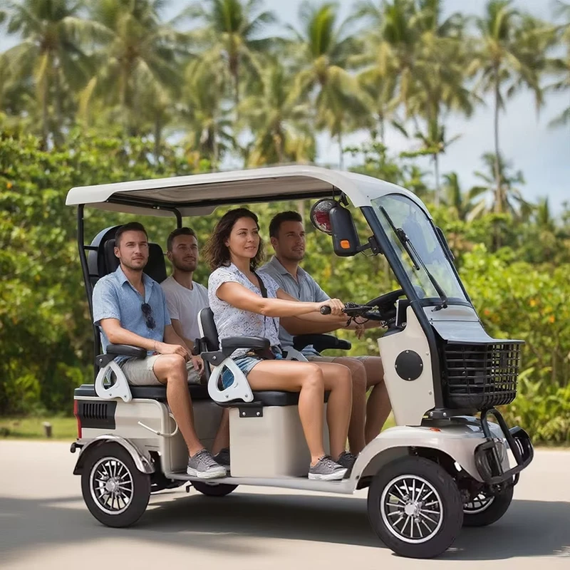 Holladay Ebike 4 Wheels Urban Commuting Electric Quadricycle Shockp Roof Mini Electric Scooter Car Golf Trolleys for Adults