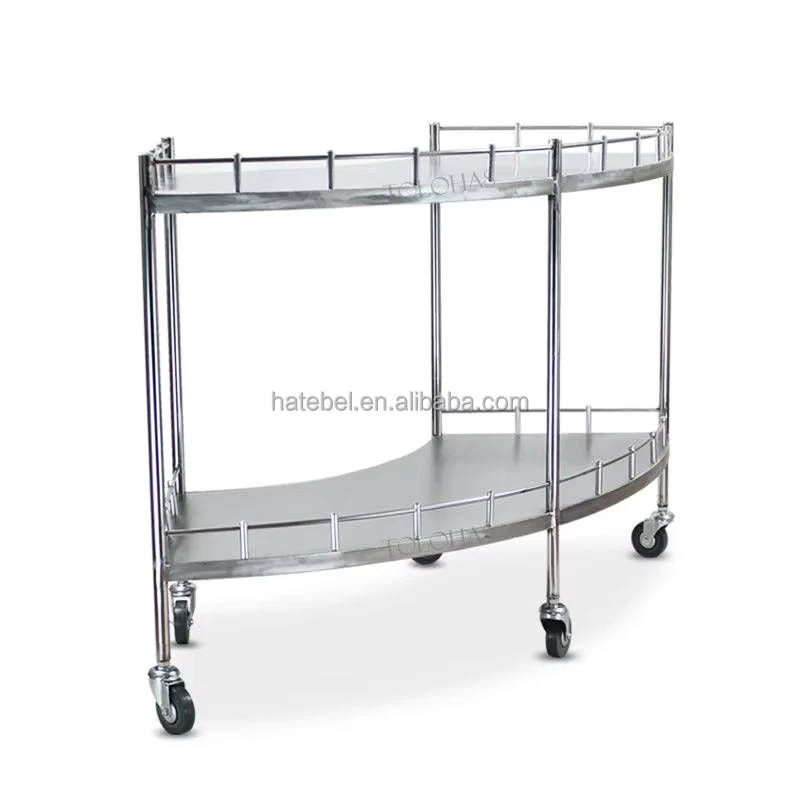 Large Capacity Dental Clinic Cart 2 Layer Mobile Instrument Organizer Medical Grade Clinic Instrument Trolley