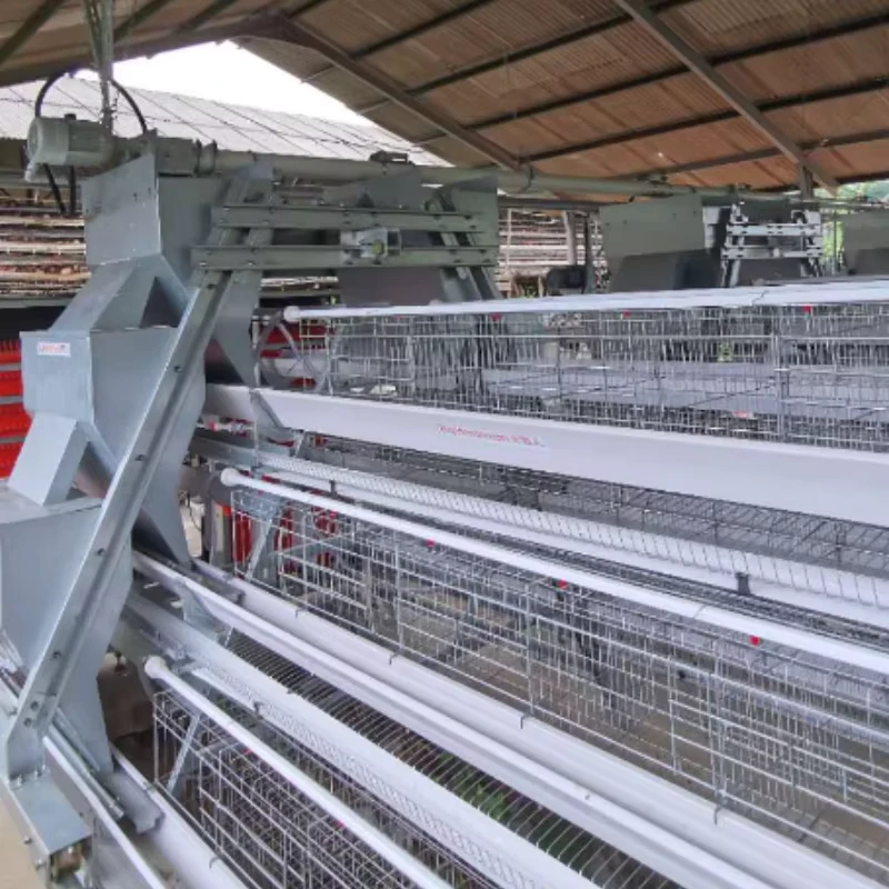Layer Chicken Battery Cages Automatic Battery Chicken Layer Equipment Chicken Cage for Layers Poultry Farming