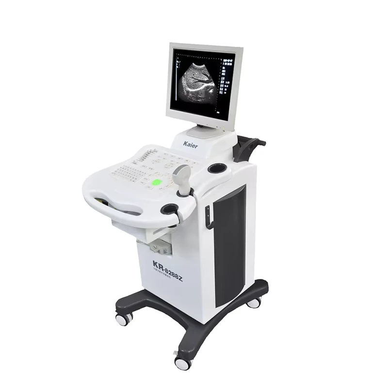 Medical Full Digital Ultrasound Therapy Device Trolley Ultrasound Scanner Echocardiography Machine Skin Scanner for Hospital