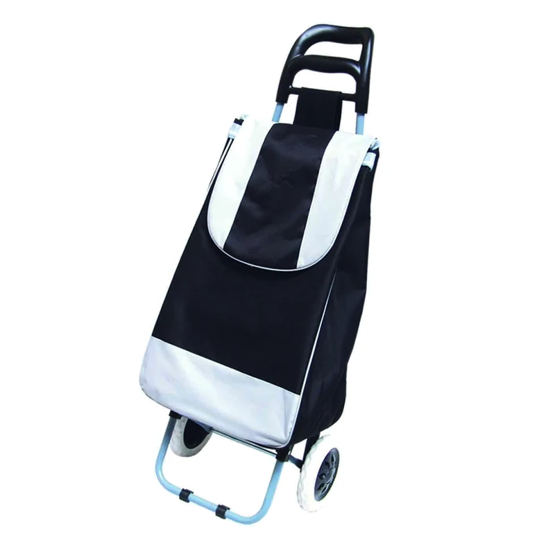 Modern 2 Wheel Foldable Shopping Cart Portable Grocery Trolley Supermarket Luggage Container Folding Cart Bag