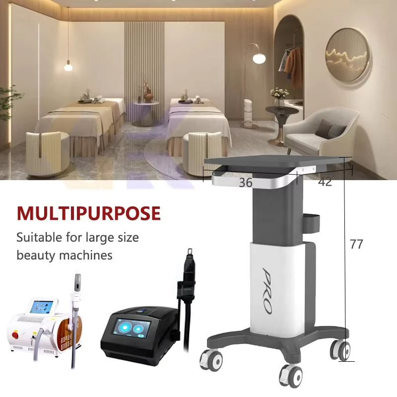 Modern 4 Wheel Beauty Salon Furniture Instrument Trolley Design for Personal Care