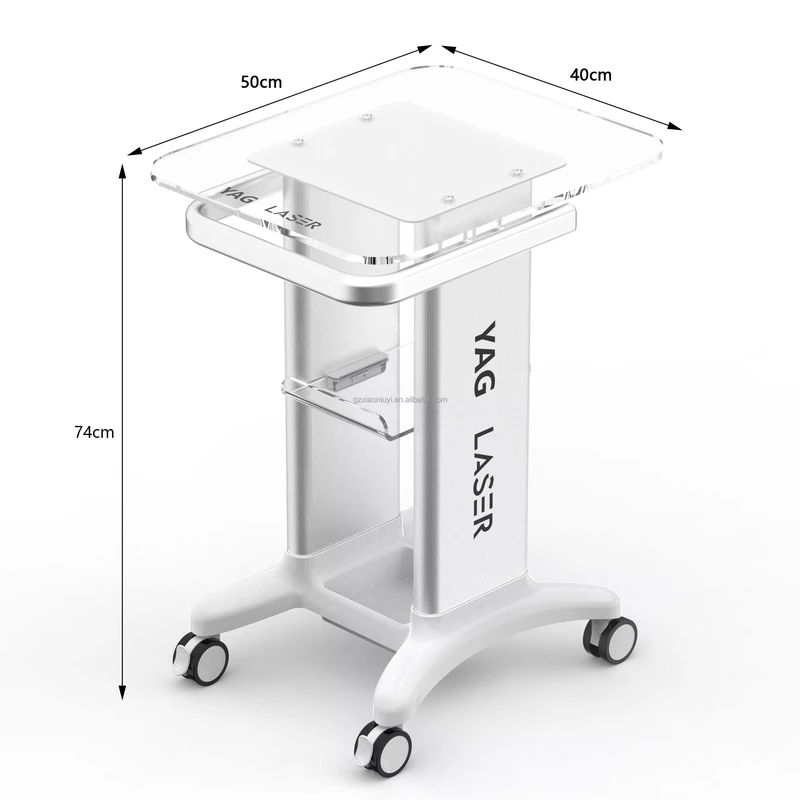 Modern Design 4 Wheel Trolley Stand 2 Shelves Salon Spa Aesthetic Devices Hotel Cavitation RF Beauty Slim Machine Trolley Cart