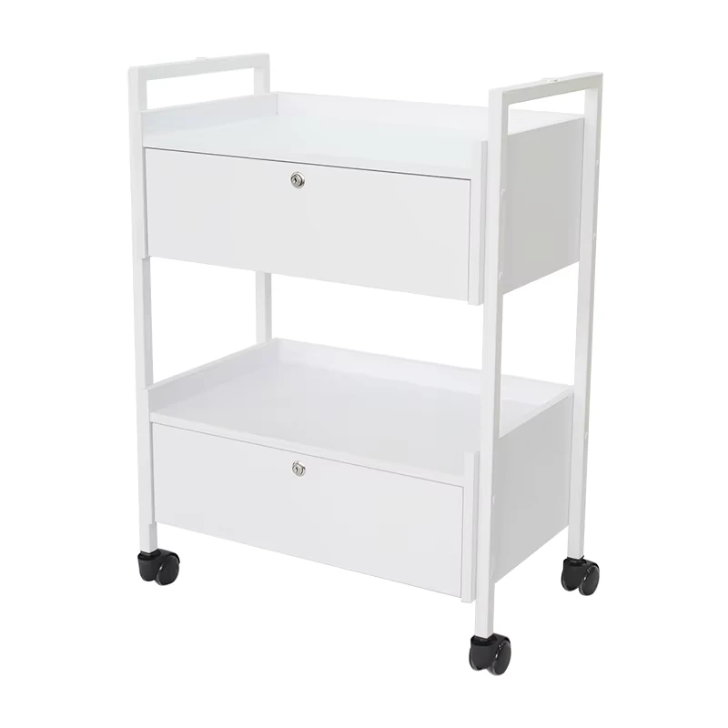 Modern Fashionable Commercial Beauty Salon Trolley 2 Drawers Wooden Cart TS-4247