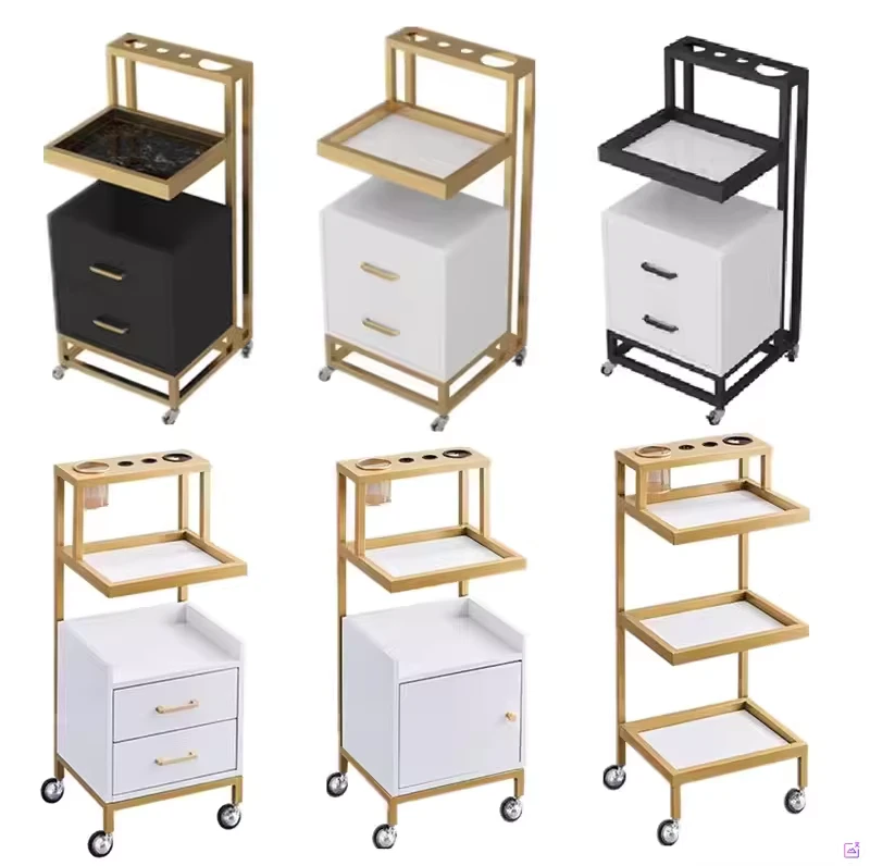 Modern Metal Frame Layer Tool Car Hair Salon Equipment Set Furniture Beauty Salon Handcart
