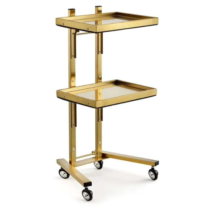 Modern Professional Hair Salon Equipment Working Trolley 2 Layer Portable and Foldable Salon Trolley With Wheel