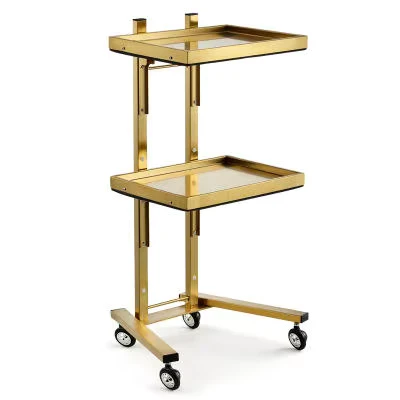 Modern Stainless Steel 4 Wheel Eco Friendly Durable Commercial Beauty Salon Storage Trolley & Tool Cabinet