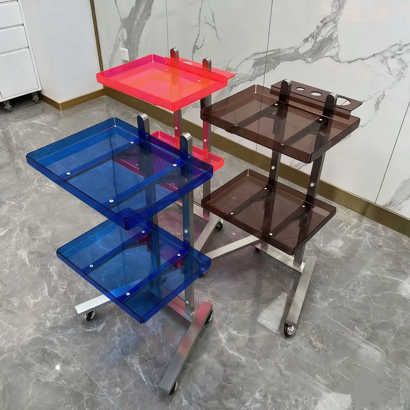 Modern Stainless Steel Plastic Salon Trolley with 4 Wheel for Hair & Beauty Salons Outdoor Use