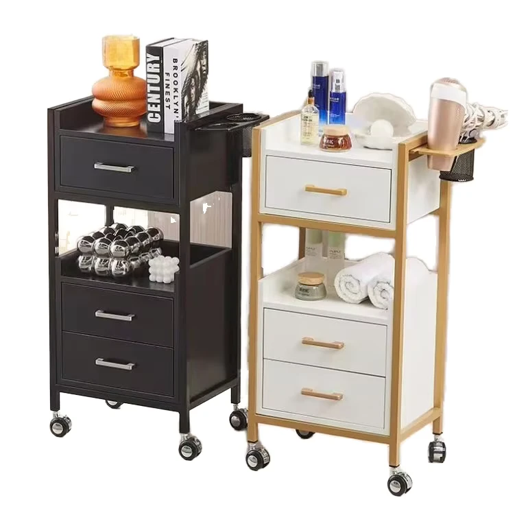 Modern Style Metal Mobile Hair Salon Styling Car Tool Trolley for Beauty Car Styling Bathroom Application