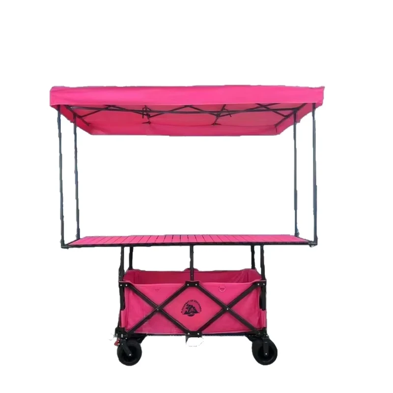 Outdoor OEM Custom Foldable Platform Cart Garden Wagon Beach Camping with Removable Sunshade Stroller