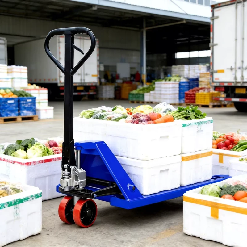 Pallet Jack Hydraulic Pump AC Manual Pallet Truck 3000kg Hand Operated Forklift