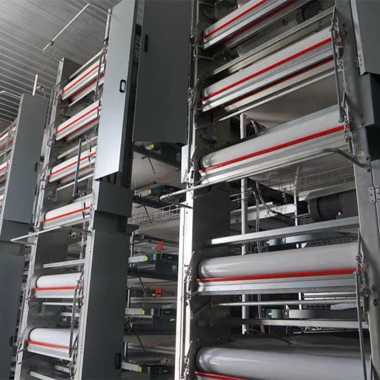 Poultry Battery Cage Chicken Farm H Type Coop 30000 200000 Hens Chicken Cage Fully Automatic Battery Cage