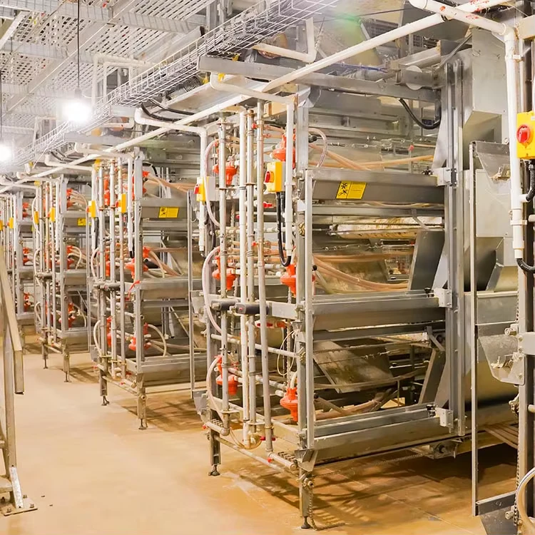 Poultry Farm Automatic Galvanized Layer Egg Laying Chicken Battery Cage System