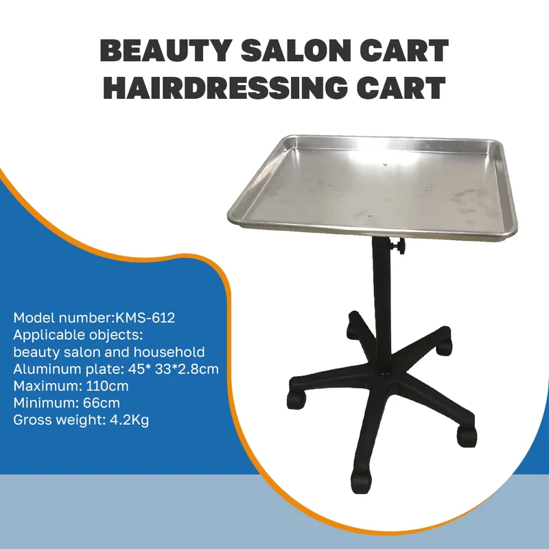 Professional Aluminum Beauty Salon Trolley Mobile Hair Storage Utility Trolley Adjustable Portable Rolling Cart Trolley