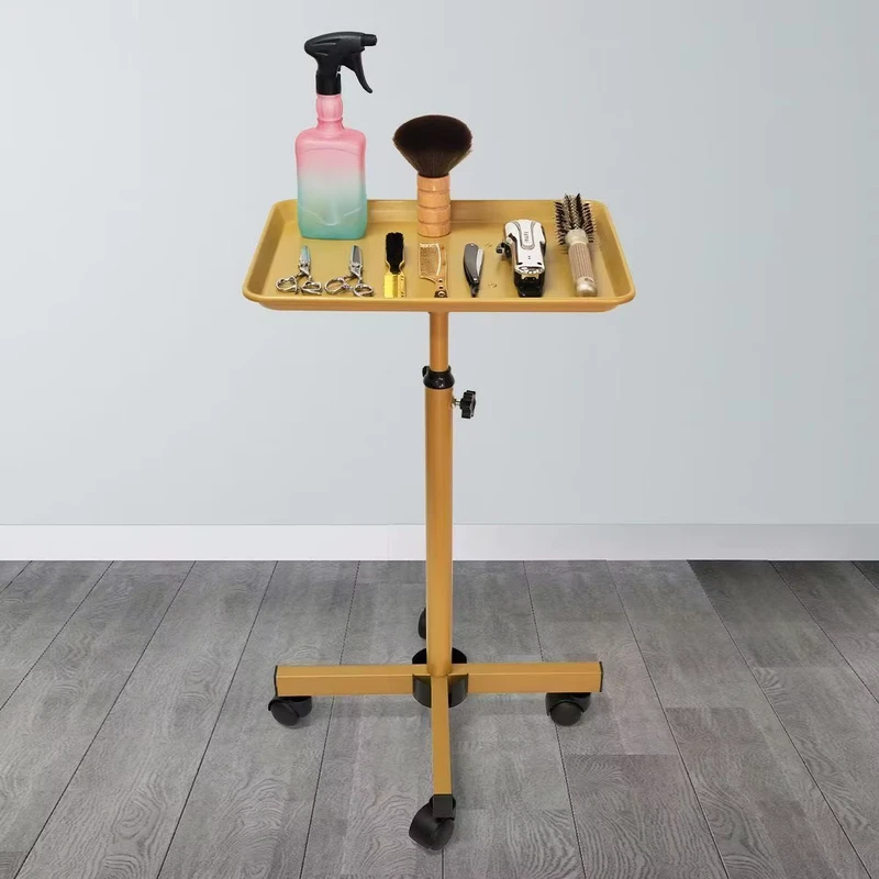 Professional Instrument Tray Rolling Salon Hair Instrument Tray Trolley Cart
