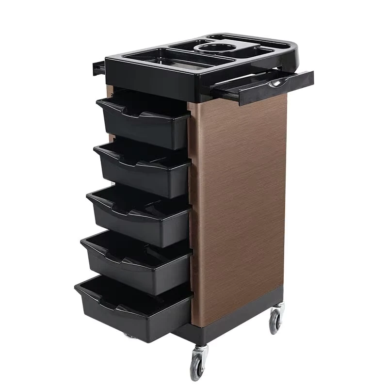 Professional Salon Furniture Fashion Design Hair Salon Cart Beauty Salon Trolley with 4 Wheels