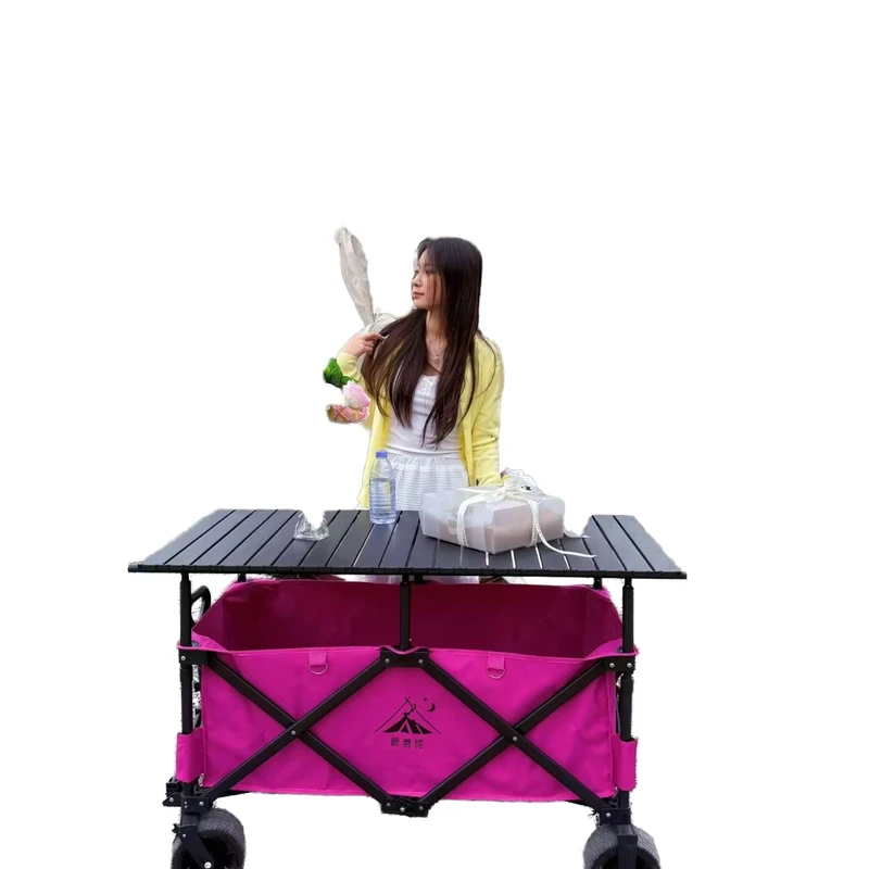 Quality Protection Cart Beach Cargo Cart Trolley Foldable Camping Stainless Steel Platform Camping Fold Hand Cart